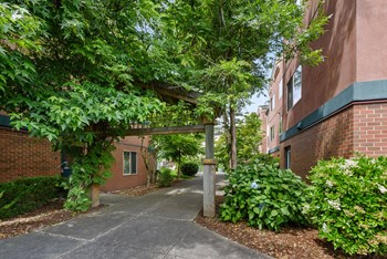 Courtyard at Woodrose Senior Affordable Apartments in Bellingham WA
